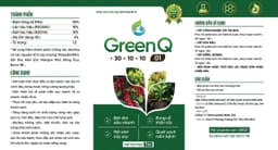 Khu vực công nghệ lõi và vận hành sản xuất trong nhà máy